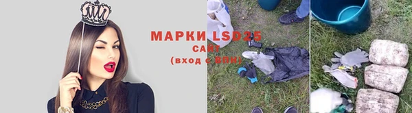 шишки Касимов