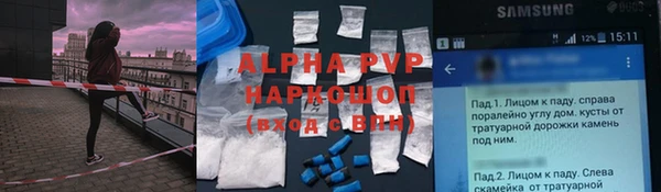 прущие грибы Карталы