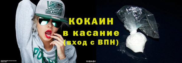 шишки Касимов
