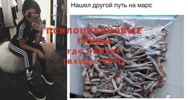 прущие грибы Карталы