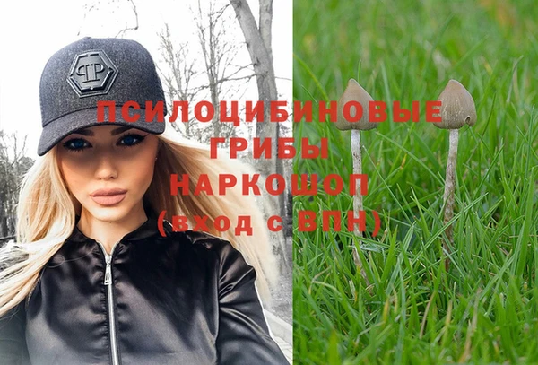 ешки Карпинск